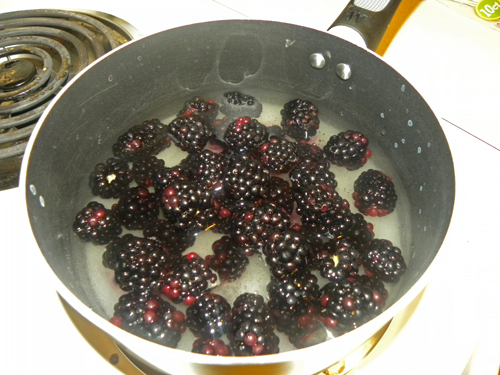 Boil berries and sugar