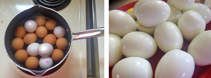 Boil Eggs