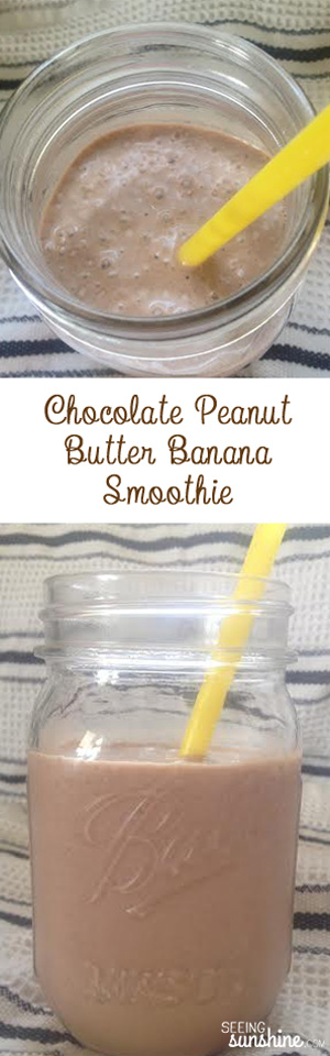 Chocolate Peanut Butter Banana