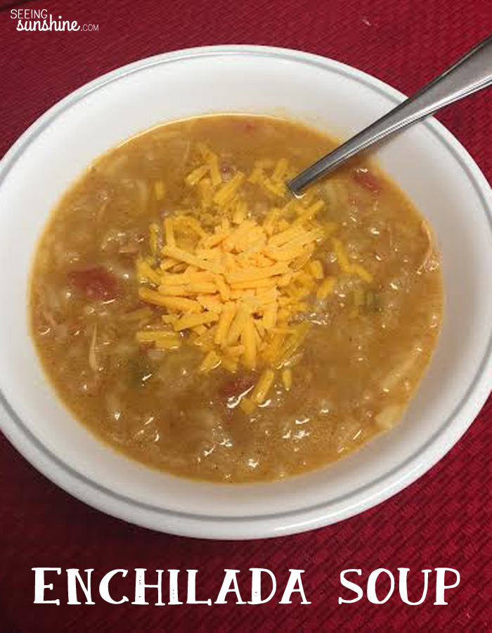 Enchilada Soup