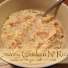 Creamy Chicken N' Rice