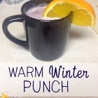 Warm Winter Punch