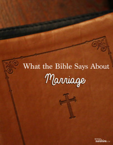 What the Bible says about Marriage