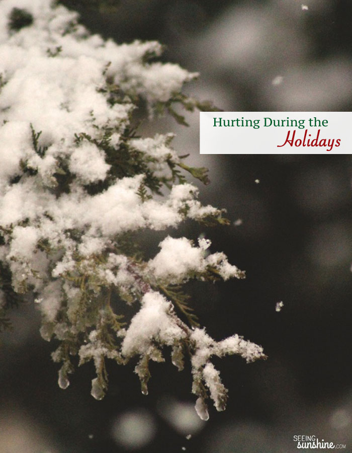 Are you hurting this holiday season? Check out these posts whether you are depressed, longing for a child, or struggling with your marriage or singleness.