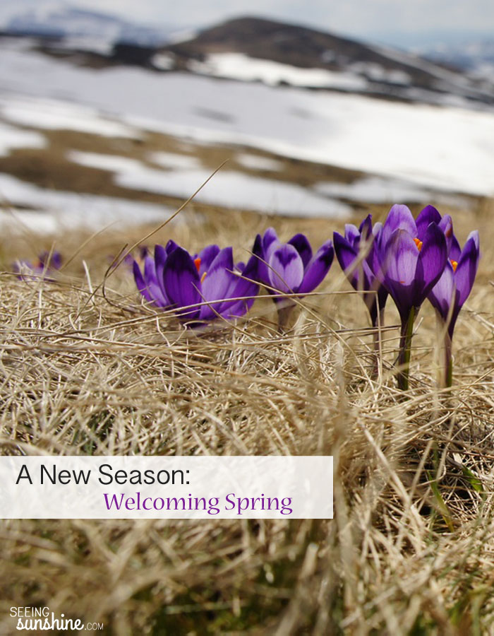 My heart was broken and it felt like winter. But after time of grief, I was able to move into a new season. This is my post about the mistakes I made and welcoming spring.