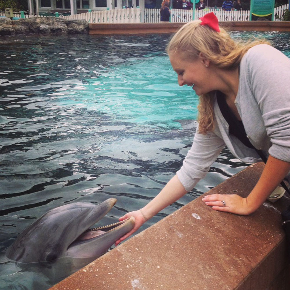 Petting Dolphins