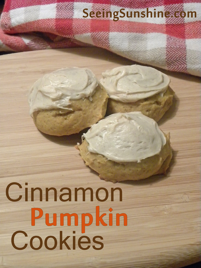 Cinnamon Pumpkin Cookies