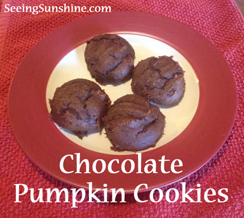 Chocolate Pumpkin Cookies 2