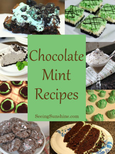 10+ Chocolate Mint Recipes