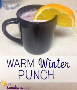 Warm Winter Punch