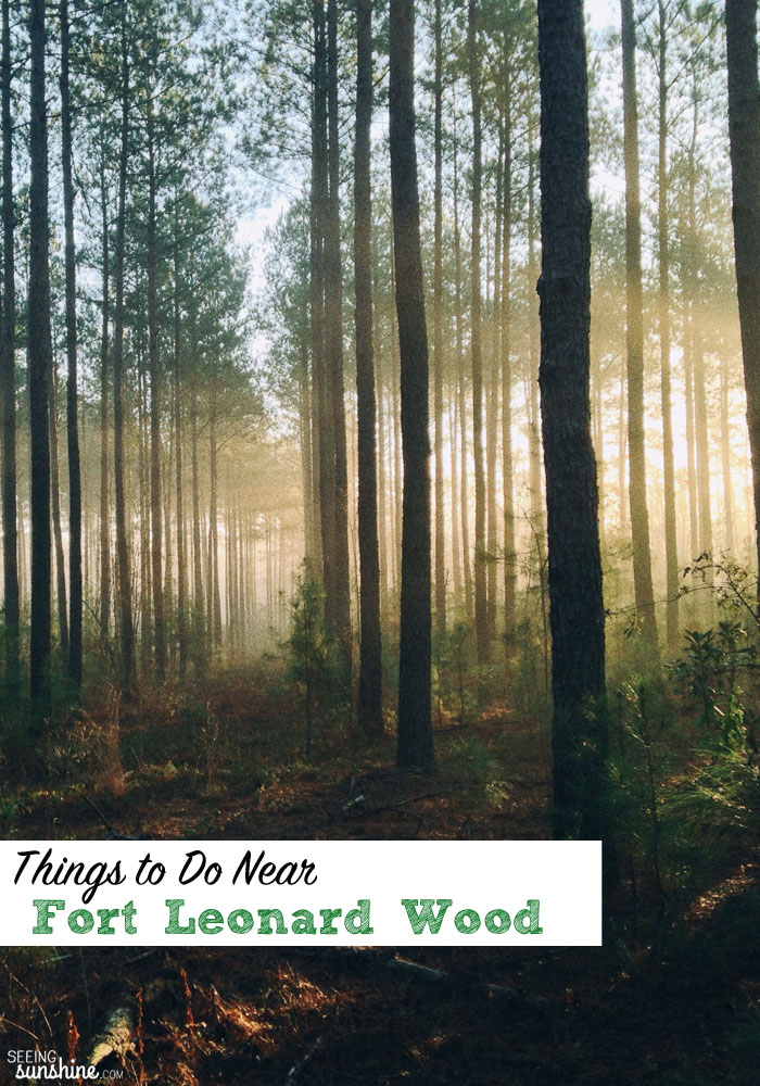 Heading to Fort Leonard Wood? Many call is Fort Lost in the Woods because it's out in the middle of nowhere, but it's not as boring as everyone thinks! Check out this list of fun things to do. 