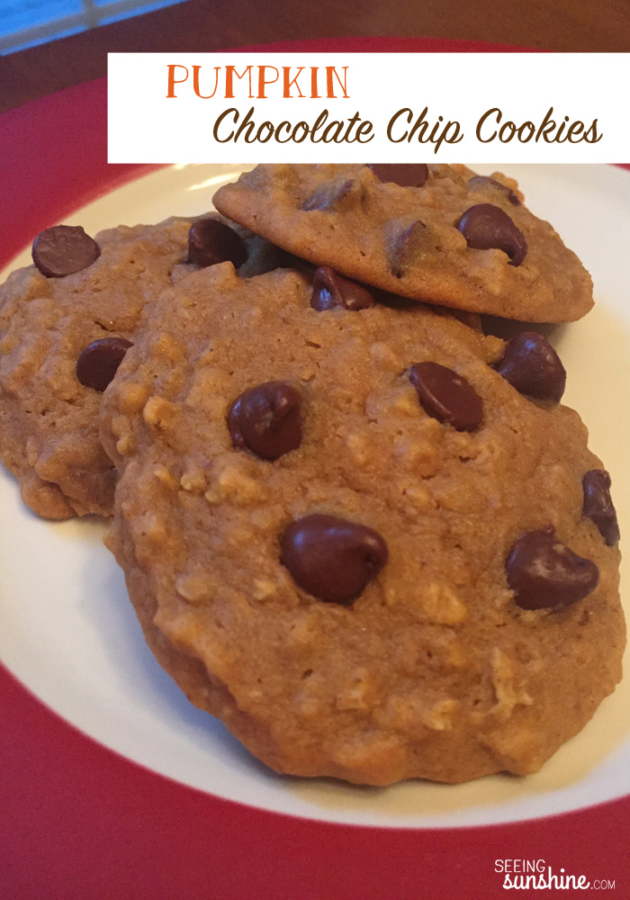 You've got to try these delicious and soft pumpkin chocolate chip cookies. They will meet all your fall time cravings!