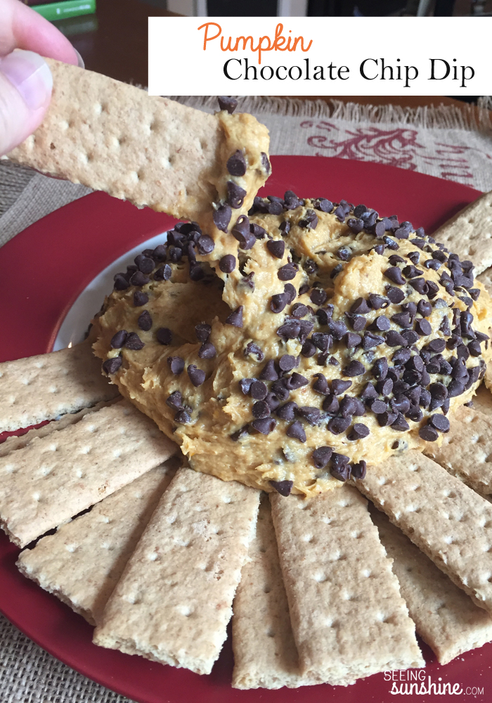 You've got to try this pumpkin chocolate chip dip that tastes like fall cookie dough! Great for parties -- or even a party for one! (I won't tell if you don't!)