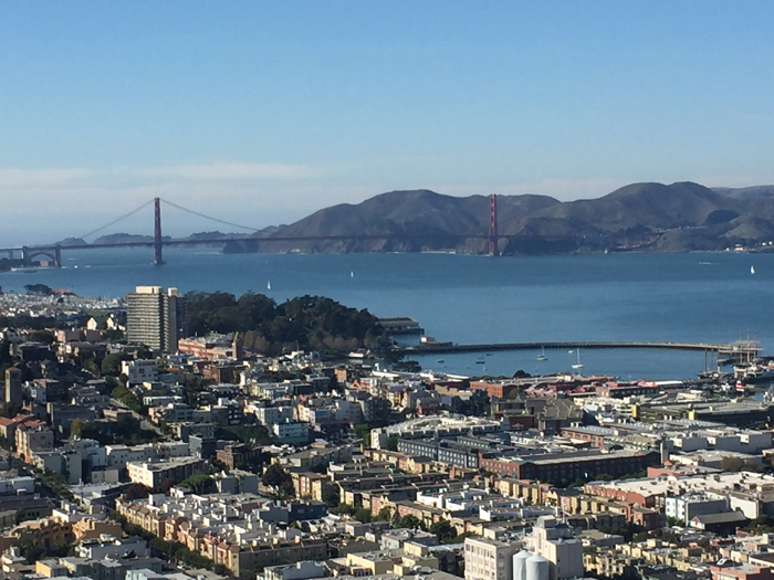 Check out this list of must-sees and fun things to do in San Francisco!